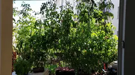 20210802_133808.webp