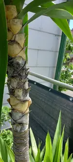 20210803_111259.webp