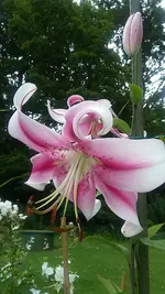 20210729_124804.webp