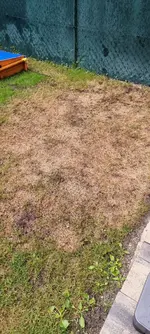 20210803_185628.webp