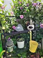 IMG_20210729_131652.jpg