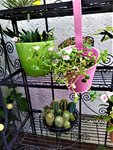 IMG_20210724_201536_2.jpg