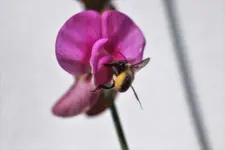 image003.webp