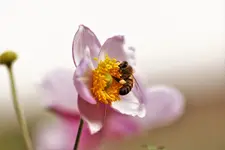 image014.webp