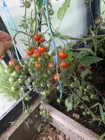 20210805_153002.webp