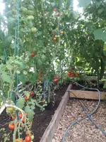 20210803_183358.jpg
