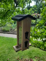 20210805_170750.webp 20210805_170750.webp