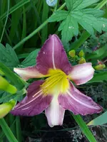 20190628_202835.webp