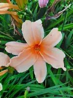 20210729_203905.webp