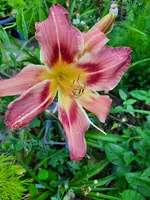 20210729_204004.webp