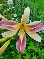 20210729_204323.webp