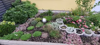 20210805_080119.webp