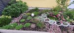 20210805_080119.jpg