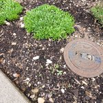20210805_080149.jpg