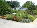 P1040895Salbeibeet.JPG