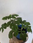 20210806_180850.jpg