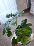 20210806_180834.jpg