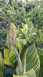 20210804_193829.webp