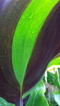 20210805_174908.jpg