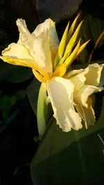 20210804_193606.webp