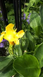 20210805_134925.webp