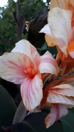 20210731_211658.webp