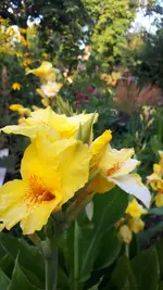 20210804_193641.webp