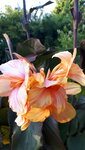20210804_193549.jpg