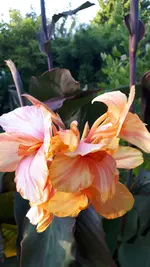 20210804_193549.webp