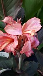 20210804_193657.webp