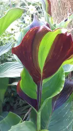 20210731_201203.webp
