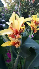 20210804_193847.webp