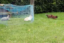 DSCN3488.webp