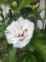 8B99D746-6EE8-48FA-B19D-CF29DB7C3E19.webp