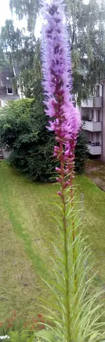 IMG_20210806_184837_488.webp