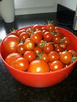 20210807_184610.webp