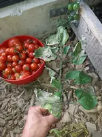 20210807_183747.webp