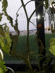 20210807_183602.jpg