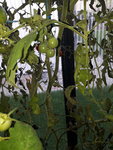 20210807_183051.jpg