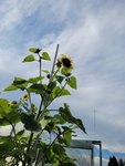 20210807_180952.jpg