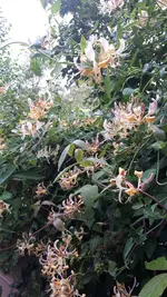 20210805_173741.webp
