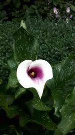 20210803_190239.webp