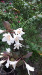 20210803_172555.jpg
