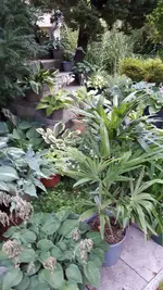 20210807_194832.webp