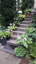 20210807_194757.webp