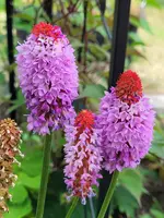 20210805_162725.webp