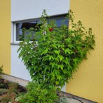 20210808_075649.jpg