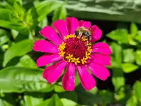 20210808_200011.webp