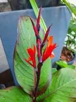 20210808_201734.webp