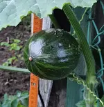 20210808_202209-2.webp 20210808_202209-2.webp